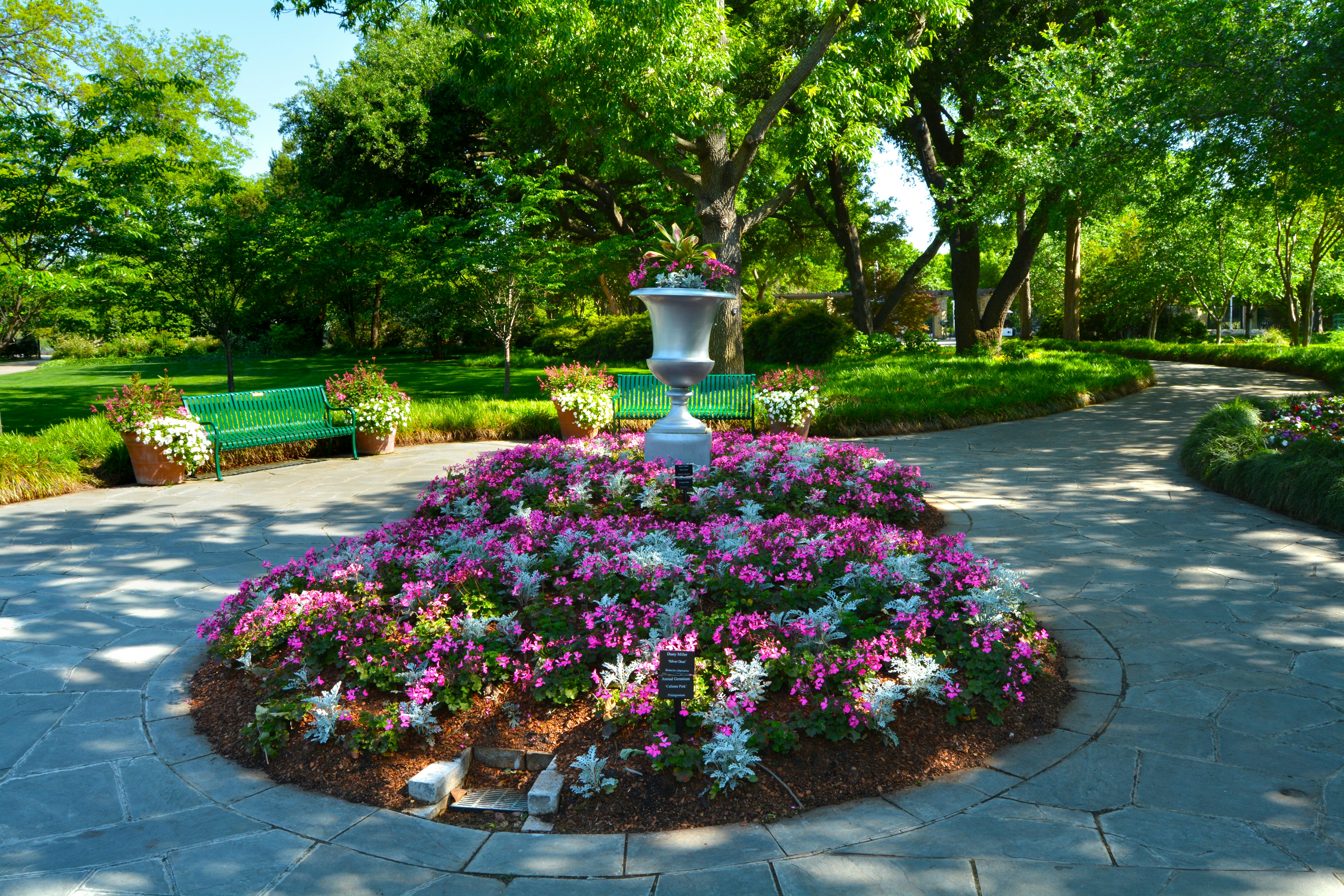 Spring on the Paseo