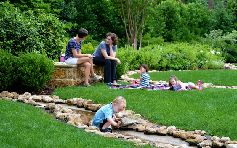 Play Day and Relaxation at the Magnolia Glade