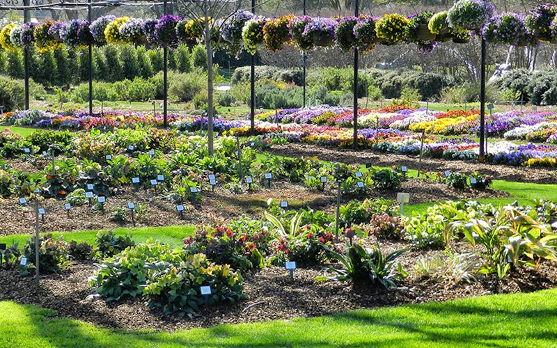 A Beautiful View of the Trial Garden