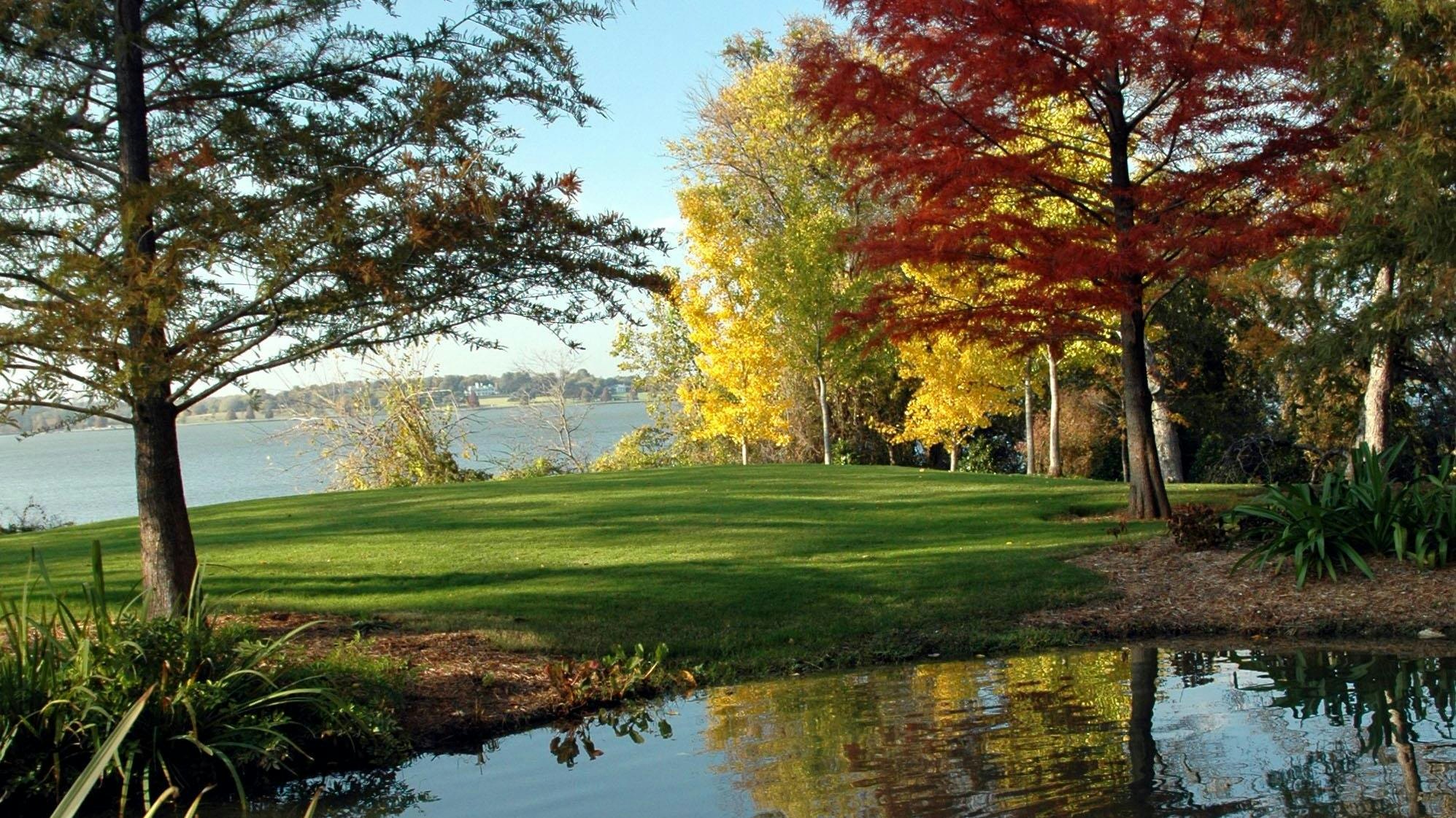 AWG-Fall-Color-22