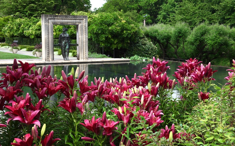 A Woman's Garden