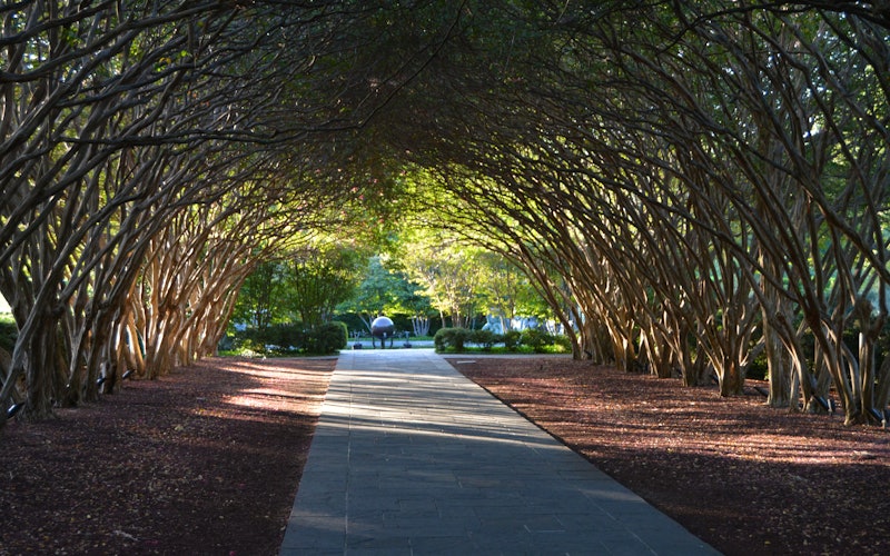 Summer Time at Crape Myrtle Allee
