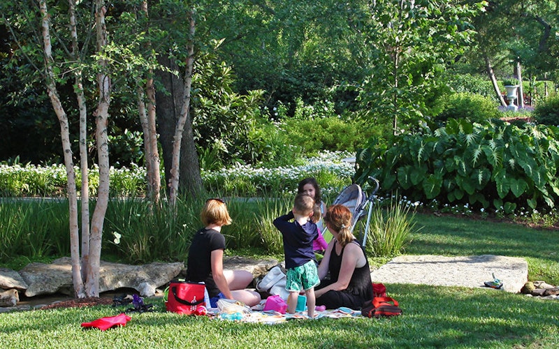 Family Picnic