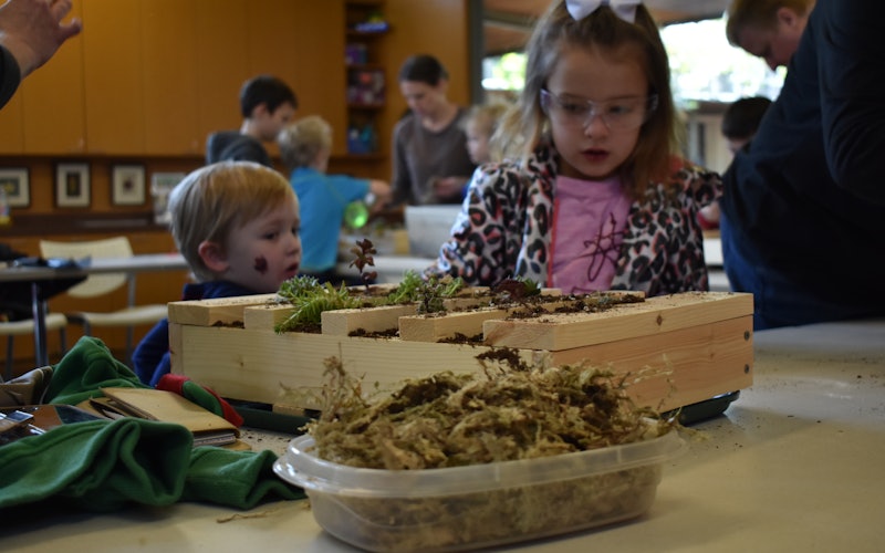 Children observing plant life in an indoor environment