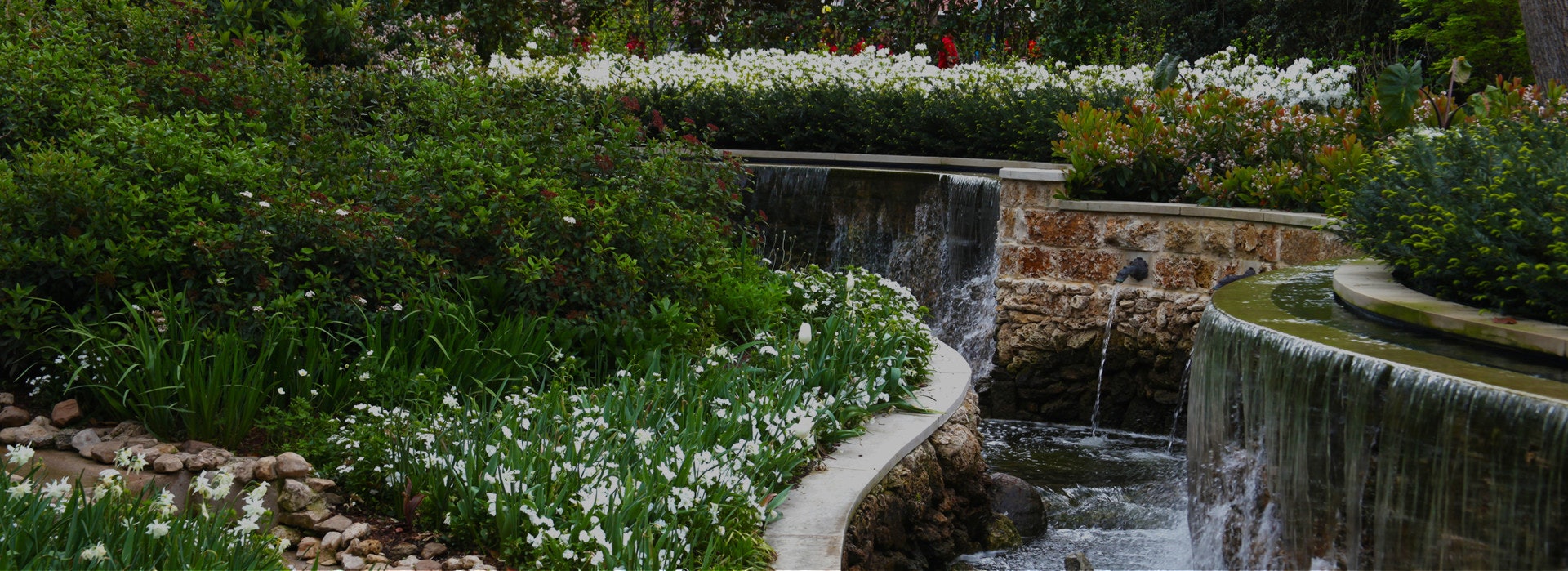 The Magnolia Glade