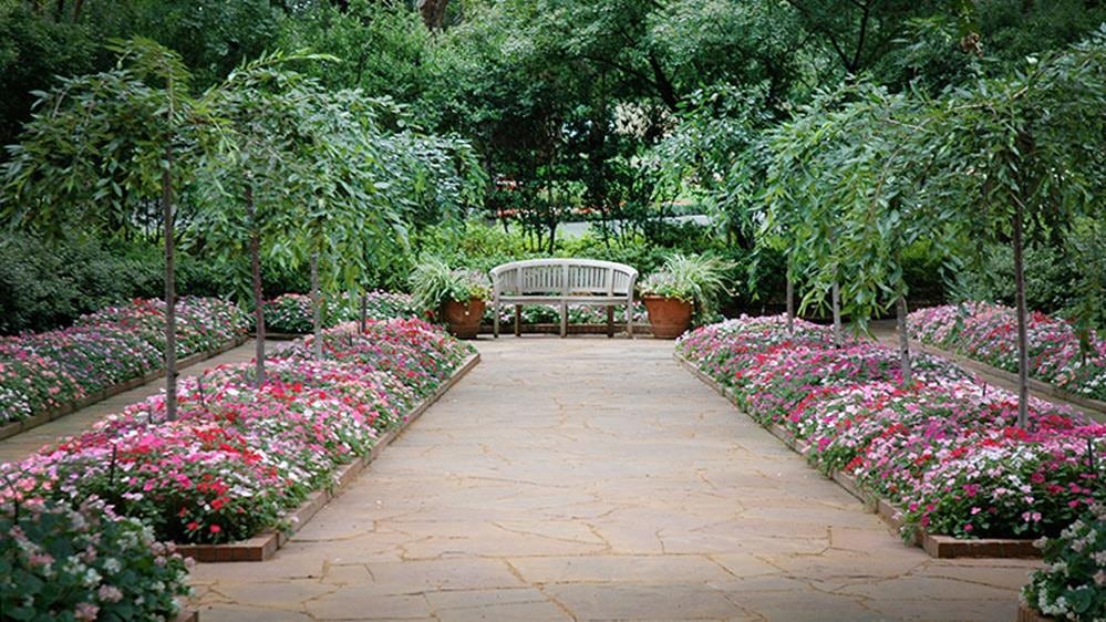 Bench View at Nancy's Garden