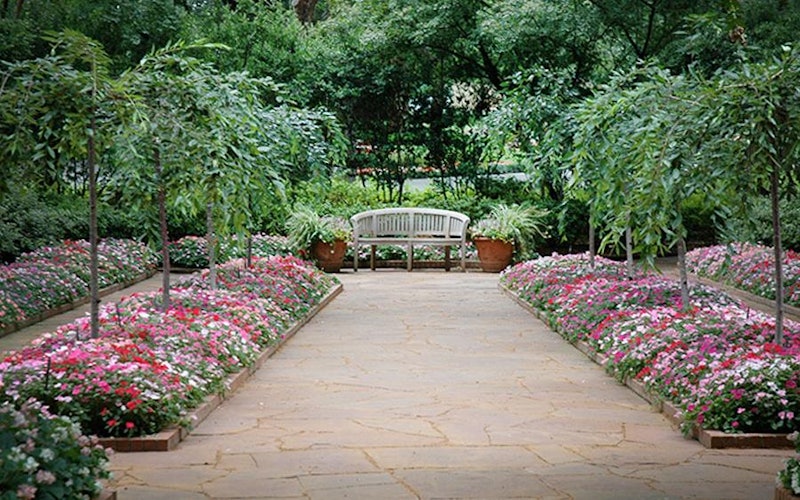 Bench View at Nancy's Garden