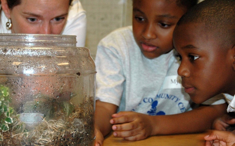 Group of children observing plant life in a classroom