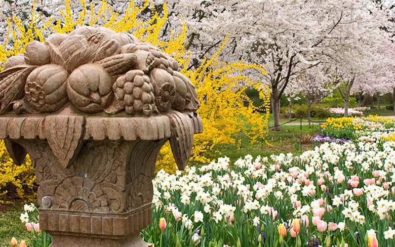 Spring blooms along the Paseo