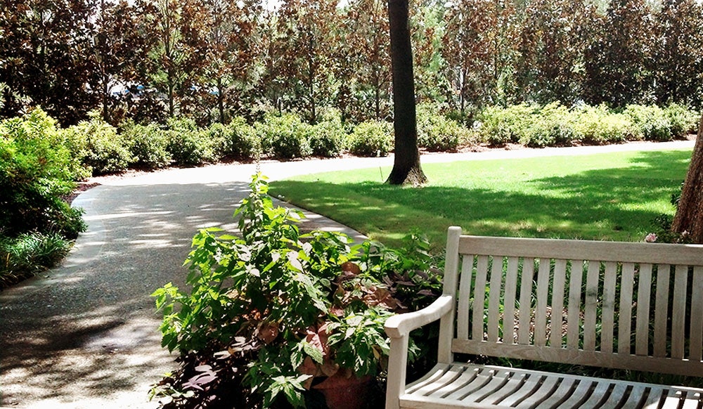 Great Place to Sit in the Chandler Lindsley Shadow Garden