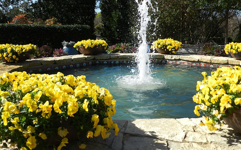 The Octagon Fountain in the DeGolyer Gardens