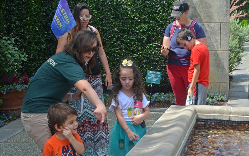 Children on a guided tour
